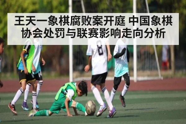王天一象棋腐败案开庭 中国象棋协会处罚与联赛影响走向分析